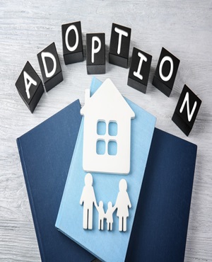 Adoption Law Assistance